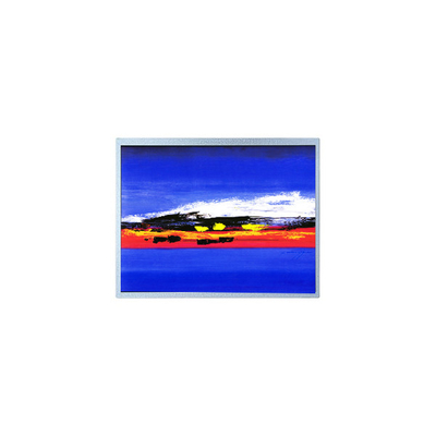 قیمت خوب 1920*720 12.3 اینچ HSD123JPW2-F10 ماژول صفحه LCD آنلاین