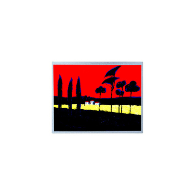 قیمت خوب فروش داغ 1920*720 HSD123JPW3-D10 12.3 اینچ صفحه نمایش LCD آنلاین