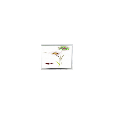 قیمت خوب مانیتور صفحه لمسی ۲٫۸ اینچی آنلاین