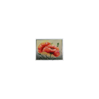 قیمت خوب جدید 7.0 اینچ ETM070001BDHA 800*480 PCAP ماژول صفحه نمایش LCD آنلاین