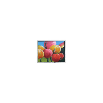 قیمت خوب پانل LCD کوچک 4.7 اینچی EW32F50GLY 320*240 صنعتی آنلاین