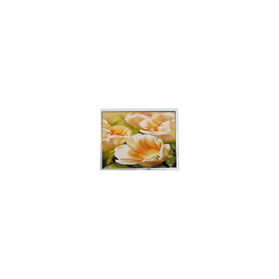 قیمت خوب COM50T5123XLC 320*240 5.0 اینچ صفحه نمایش LCD برای صنعت آنلاین
