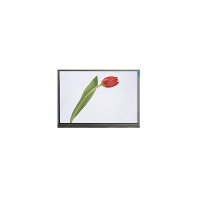 قیمت خوب M070SWP1 R0 7.0 اینچ 800*480 صفحه LCD TFT صفحه نمایش پانل آنلاین