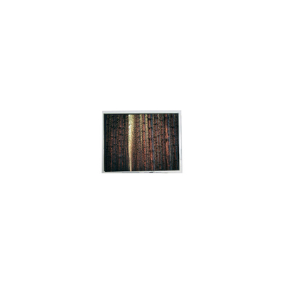 قیمت خوب صفحه نمایش LCD ۴٫۳ اینچی FG04032PDSSWBG01 ۴۸۰*۲۷۲ آنلاین