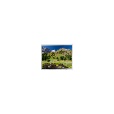 قیمت خوب ZV055FHM-A40-18P0 5.5 اینچ صفحه LCD صفحه نمایش پانل آنلاین