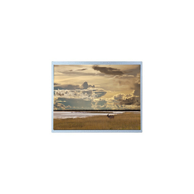 قیمت خوب صفحه نمایش LCD LVDS با کیفیت بالا آنلاین