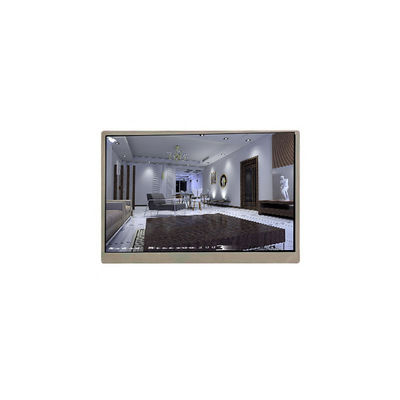 قیمت خوب صفحه نمایش LCD جدید 10.1 اینچ 800*1280 PG101BS01-1 برای پد تبلت آنلاین