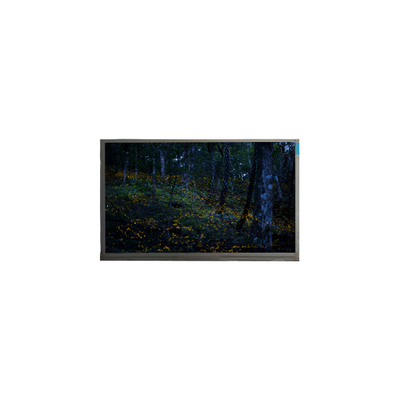 قیمت خوب صفحه LCD اصلی 15.6 اینچ N156BGE-P21 1366*768 40 پین آنلاین