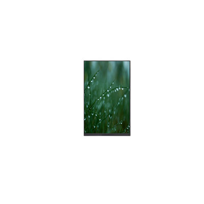 قیمت خوب 8.0 اینچ P080DZD-DB6 800*1280 صفحه LCD لمسی در موجودی آنلاین