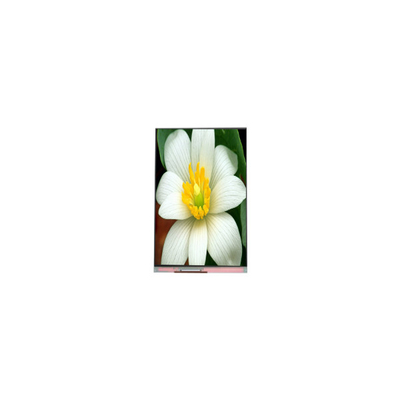 قیمت خوب PJ052IC-01C پانل نمایش صفحه LCD 5.2 اینچی 1080*1920 آنلاین