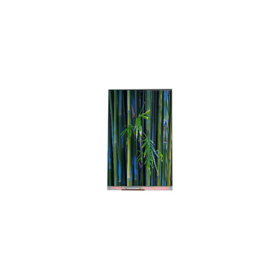 قیمت خوب صفحه اصلی 1080*1920 PJ055IC-02M 5.5 اینچ WLED صفحه LCD قطعات آنلاین