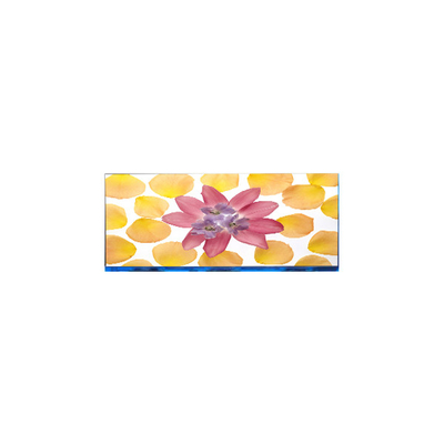 قیمت خوب E102AWF6 R1 10.2 اینچ 1920 * 532 صفحه نمایش LCD آنلاین