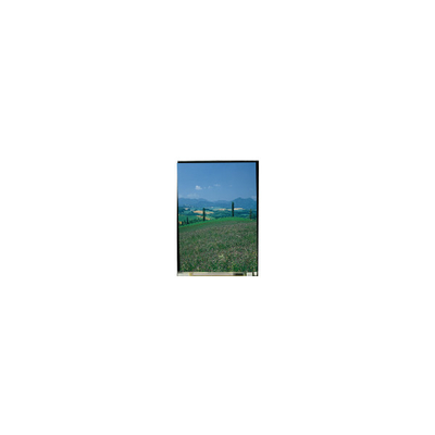 قیمت خوب صفحه نمایش LCD LS052T3SX03A 5.2 اینچ 1080*1920 FHD برای تلفن همراه آنلاین