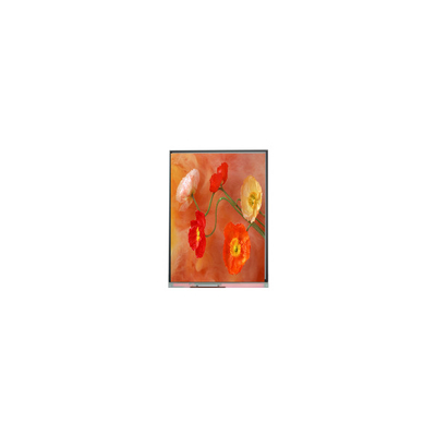 قیمت خوب صفحه نمایش LCD اصلی C070AWP9 R0 7.0 اینچ آنلاین