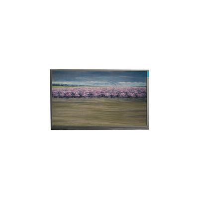 قیمت خوب U060SWR8-0 6.0 اینچ 720*1440 صفحه نمایش LCD برای تلفن همراه آنلاین