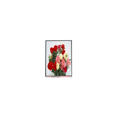 قیمت خوب C065SWR4-0 اصل در سهام 6.5 اینچ 540*1200 صفحه نمایش LCD آنلاین