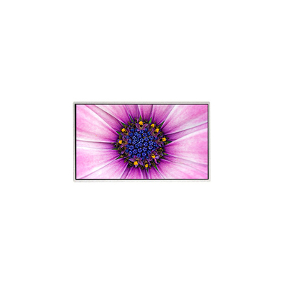 قیمت خوب 7.0 اینچ TT070WVM-NW1 800*480 صفحه نمایش LCD برای لوازم خانگی آنلاین