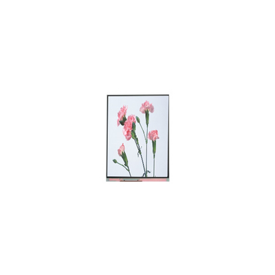 قیمت خوب C060SWA3-3 6.0 اینچ 720*1280 صفحه نمایش LCD برای تلفن آنلاین