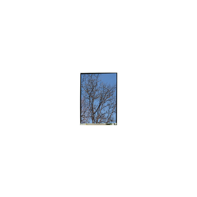 قیمت خوب 5.5 اینچ LS055T1SX29 1080*1920 صفحه نمایش LCD FHD آنلاین