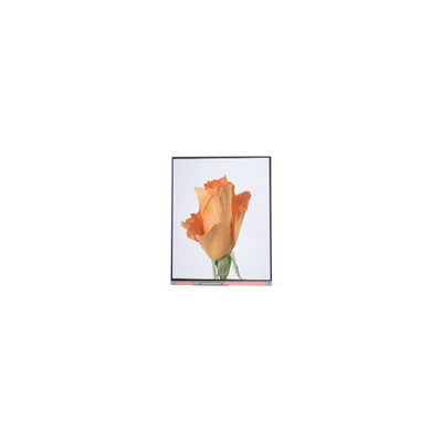 قیمت خوب 720*1280 C052SWA2-1 صفحه نمایش LCD 5.2 اینچی برای تلفن آنلاین
