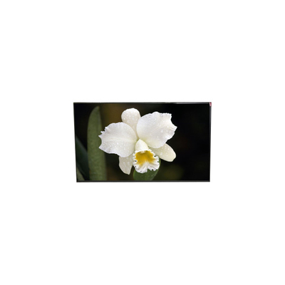 قیمت خوب صفحه نمایش LCD TFT 12.5 اینچی LP125WF4-SPQ1 اصلی آنلاین