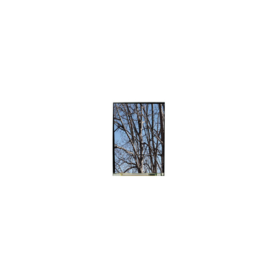 قیمت خوب LS055T3SX03 5.5 اینچ صفحه نمایش LCD برای تلفن همراه آنلاین