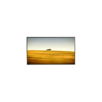 قیمت خوب فروش داغ 10.1 اینچ TT101WSQ-N10 1024 * 600 صفحه نمایش LCD برای کامپیوتر نوت بوک آنلاین
