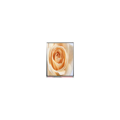قیمت خوب C050SWAF-0 5.0 اینچ 720*1280 صفحه نمایش LCD آنلاین
