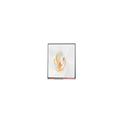 قیمت خوب C050SWYD-2 5.0 اینچ 480*854 صفحه نمایش LCD آنلاین
