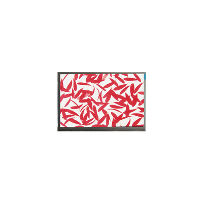 قیمت خوب C116NWR5-0 11.6 اینچ 1366*768 صفحه نمایش LCD TFT آنلاین