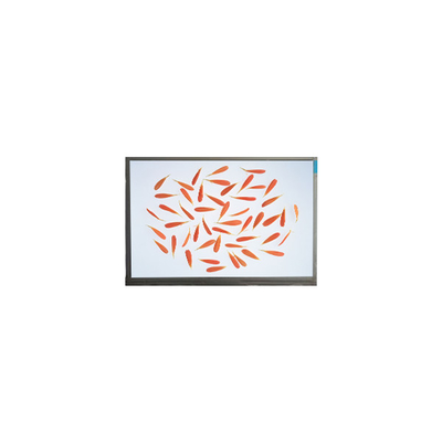 قیمت خوب C116NWR4-0 11.6 اینچ 1366*768 IPS صفحه نمایش LCD آنلاین
