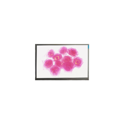 قیمت خوب F116NWR4-0 11.6 اینچ 1366*768 صفحه نمایش LCD آنلاین