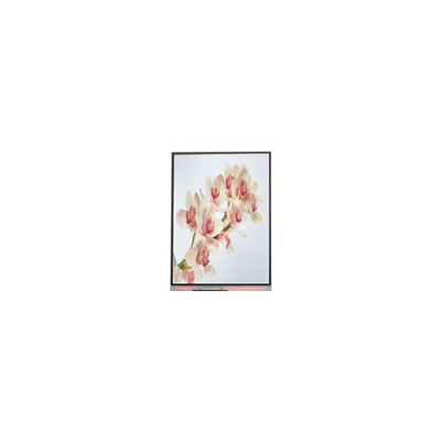 قیمت خوب C060SWA4-0 NEW 6.0 اینچ IPS صفحه نمایش LCD آنلاین