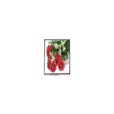 قیمت خوب 5صفحه نمایش ال سی دی 5 اینچی C055SWY2-1 برای تلفن همراه آنلاین