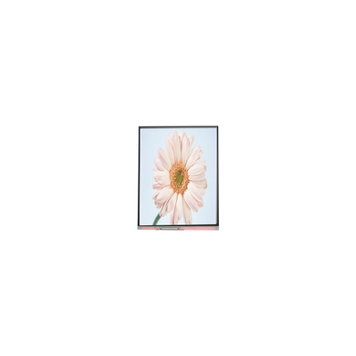 قیمت خوب ماژول جدید 720*1280 C050HWA5-1 5.0 اینچی صفحه نمایش LCD آنلاین
