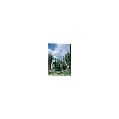 قیمت خوب LS050T1SC01S 5.0 اینچ 1080*1920 صفحه LCD برای تلفن همراه آنلاین