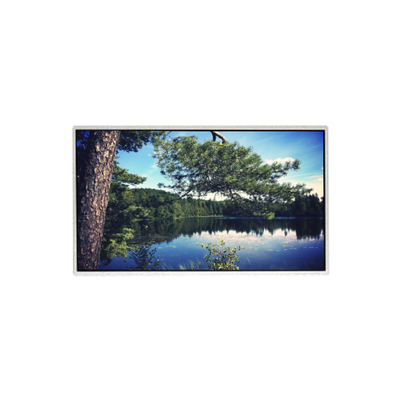 قیمت خوب 21صفحه نمایش LCD TFT HM215WU3-501 آنلاین