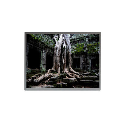 قیمت خوب TMS190WX1-50TB 30 پین 19.0 اینچ صفحه LCD 1440*900 صفحه LCD آنلاین