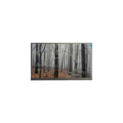قیمت خوب MT200LW01 V.0 صفحه نمایش ال سی دی 20.0 اینچی 30 پین آنلاین