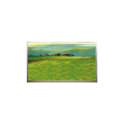 قیمت خوب N173H6-L04 1920*1080 17.3 اینچ صفحه نمایش LCD آنلاین