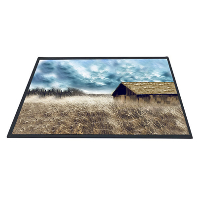 قیمت خوب صفحه نمایش پنل ال سی دی TFT AUO 10.1 اینچی B101XAN01.2 1366x768 آنلاین