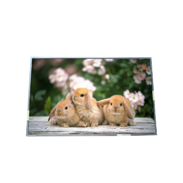 اصل در اندازه 17.3 اینچ B170PW05 V1 صفحه نمایش LCD