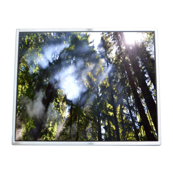 LTM190M2-L01 صفحه نمایش LCD 19.0 اینچ صفحه نمایش LVDS ماژول LCD اتصال 30 پین