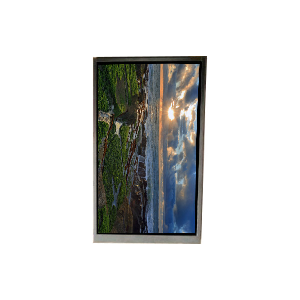 BS053HDG-N50-6200 صفحه نمایش LCD 5.2 اینچ LCD PANEL برای تلفن همراه