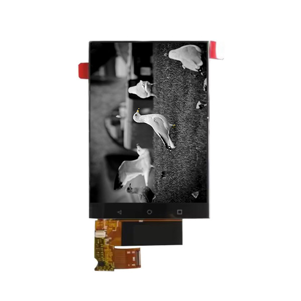6.1 اینچ 720*1560 BV061X6Q-N10-8Q01 صفحه نمایش LCD برای تلفن همراه