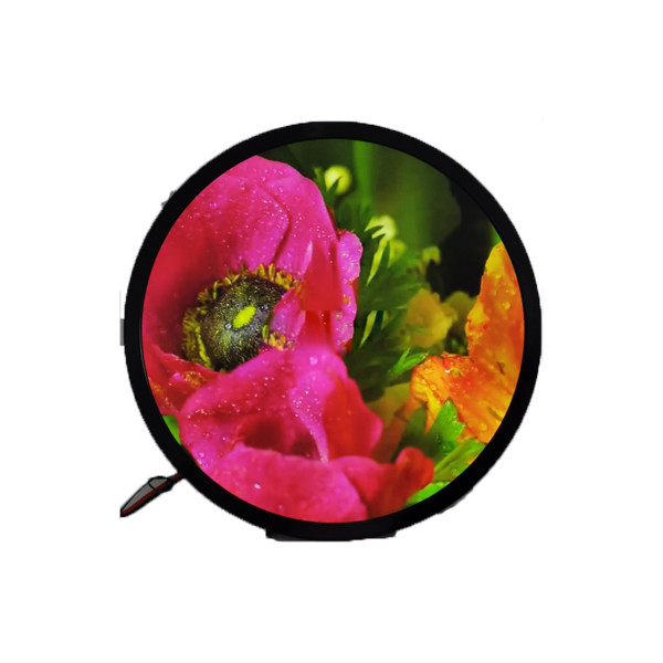 23.6 اینچ 1280*1280 DV236FBM-N00 1500 cd/m2 صفحه LCD برای نمایش گرد