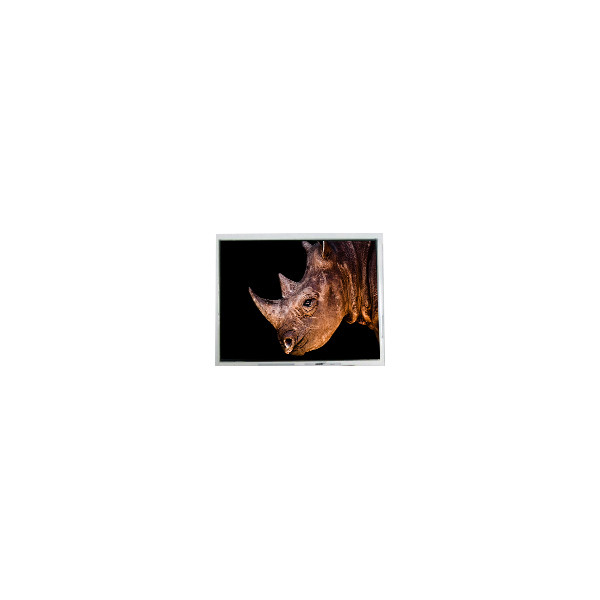 640*480 5.7 اینچ AM-640480VTZQW-00H 40 پین صفحه نمایش LCD 60 هرتز صفحه نمایش پانلی