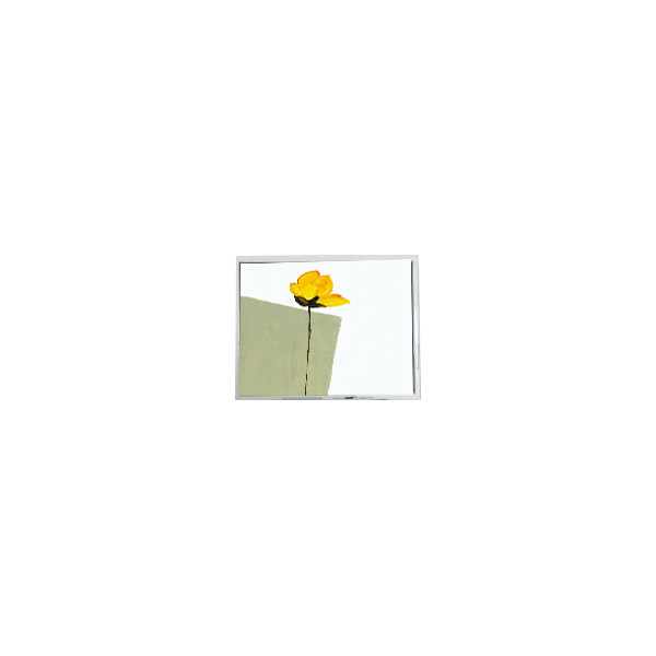 صفحه LCD جدید 800*480 AM-800480N3TZQW-00H 5.0 اینچ برای نمایش خودرو