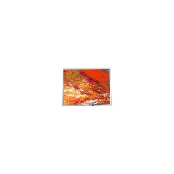 5.0 اینچ AM-800480N3TZQW-57H 800*480 1000 cd/m2 مانیتور صفحه LCD برای آمپر