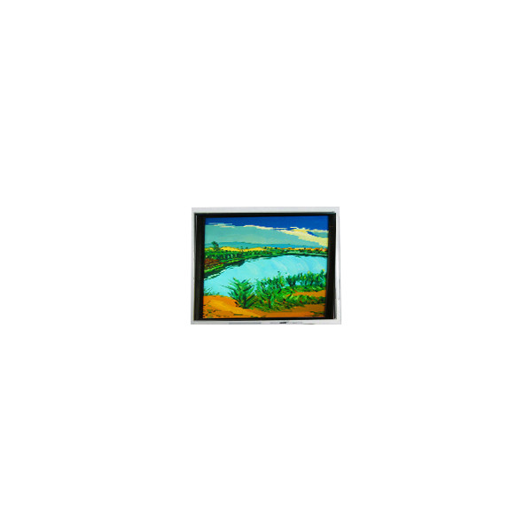 DMF-50316NF-FW-1 240*64 صفحه LCD 5.2 اینچ 130 cd/m2